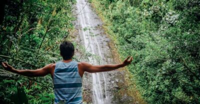 Manoa Falls Waterfall Hike with Lunch and Transfers