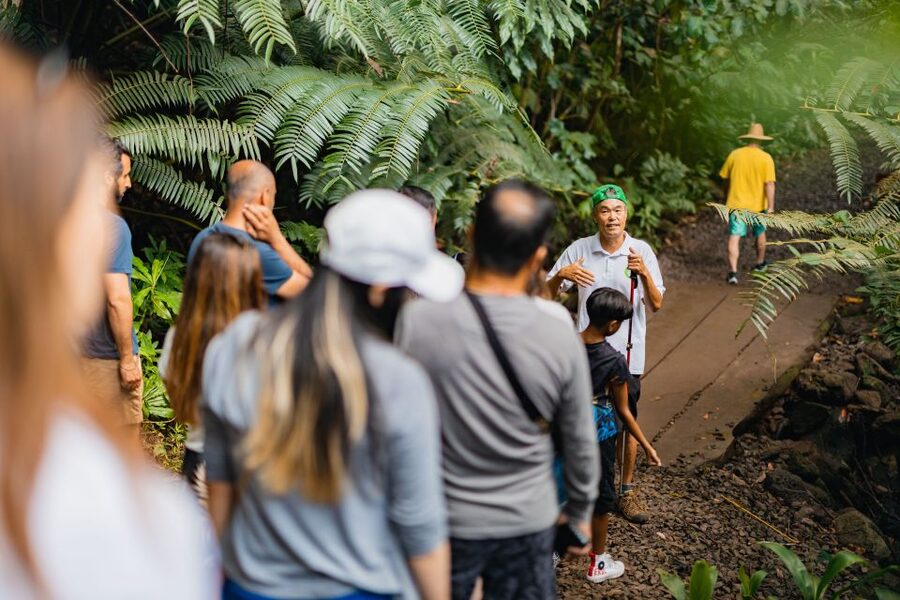Oahu: Manoa Falls Waterfall Hike with Lunch and Transfers - What to wear and carry for a wet trail