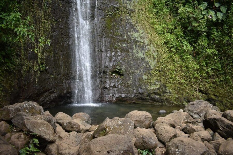 Oahu: Manoa Falls Waterfall Hike with Lunch and Transfers - Is $119 a fair price?