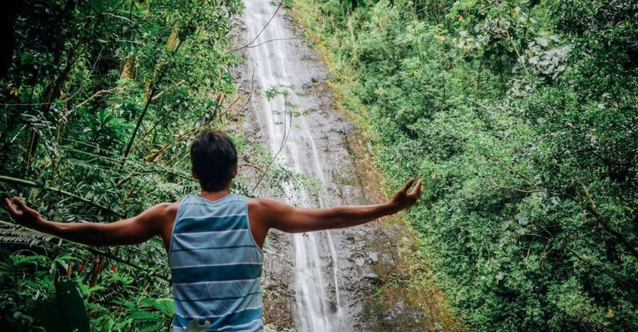Oahu: Manoa Falls Waterfall Hike with Lunch and Transfers - The 1.6-mile walk through the rainforest