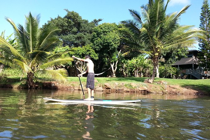 Oahu North Shore Experience: Activities, Waterfall & Free Time - Why this North Shore day is worth considering