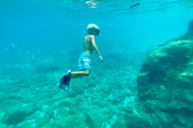 Oahu North Shore Experience: Activities, Waterfall & Free Time - What you get for $167.53