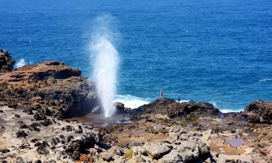 Oahu: Oahu Ultimate Grand Circle Island Tour - Why this $84 Oahu tour can be good value