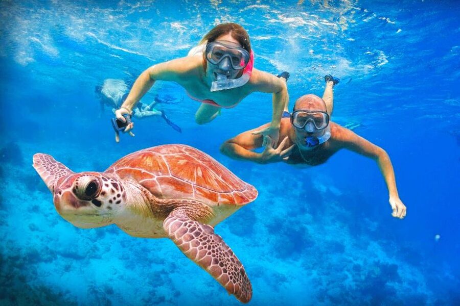 Oahu: Oahu Ultimate Grand Circle Island Tour - Waimānalo, Kualoa, and the windward coast
