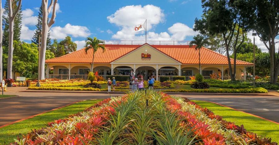 Oahu: Oahu Ultimate Grand Circle Island Tour - Starting in Waikiki and reaching Diamond Head