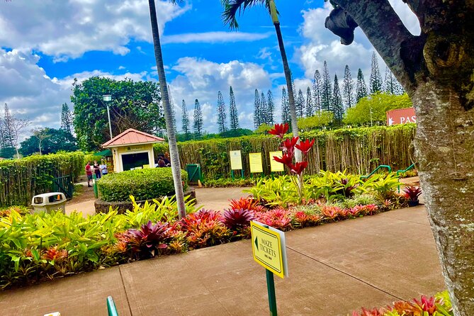 Oahu: Roundtrip Shuttle From Waikiki to Dole Plantation & Haleiwa - Why this Oahu shuttle works