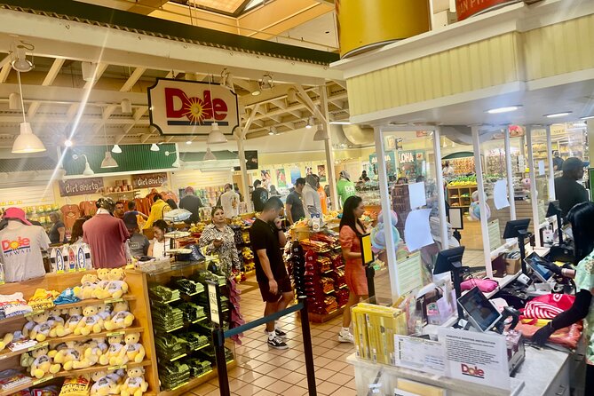 Oahu: Roundtrip Shuttle From Waikiki to Dole Plantation & Haleiwa - Timing, comfort, and group size