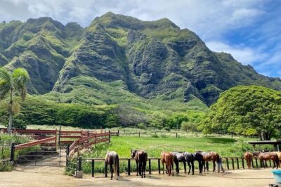 Oahu’s Fun and Foodie Tour Groups of 5 or more Only!