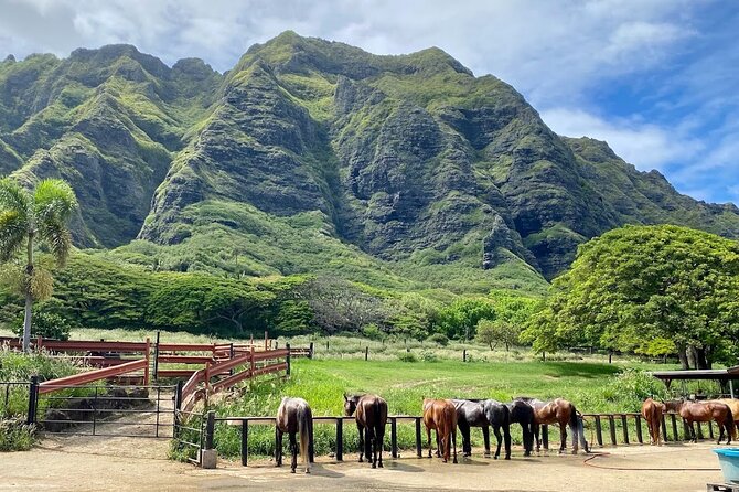 Oahu's Fun and Foodie Tour Groups of 5 or more Only! - Makapuʻu adds a wide ocean view