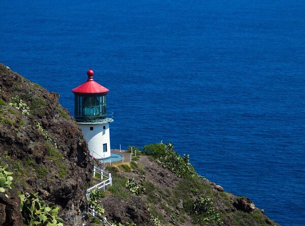 Oahu's Stunning Views: Half-Day Scenic Tour with 7 Lookouts - Key points at a glance