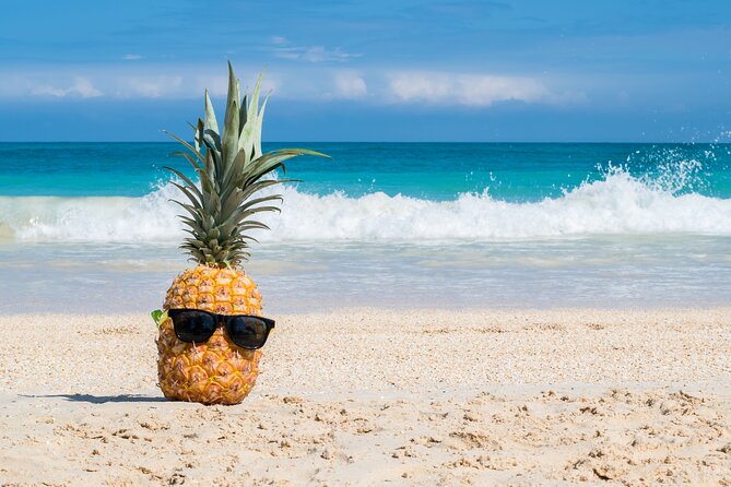 Oahu's Ultimate Grand Circle Island Tour with Snorkeling and More - Diamond Head Lookout starts the morning with a wide view