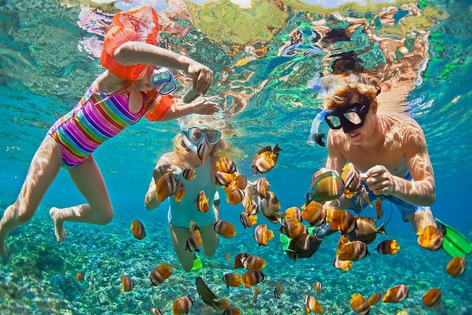 Oahu's Ultimate Tour: Dole, Turtle Snorkel, Pali Lookout & More - What kind of Oahu day are you buying?