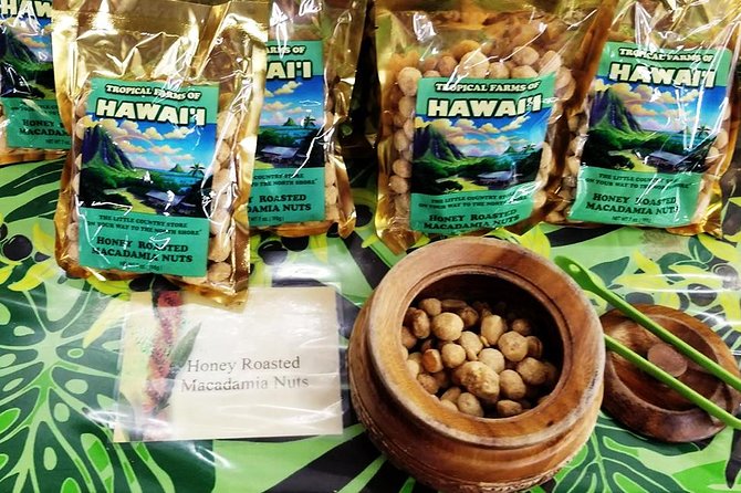 Oahu's Ultimate Tour: Dole, Turtle Snorkel, Pali Lookout & More - Makapuʻu and Nuʻuanu Pali