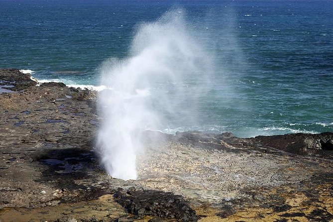 Oahu's Ultimate Tour: Dole, Turtle Snorkel, Pali Lookout & More - Byodo-In Temple and the North Shore drive