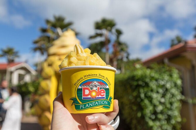 Oahu's Ultimate Tour: Dole, Turtle Snorkel, Pali Lookout & More - Tropical Farms and Kahuku food stops