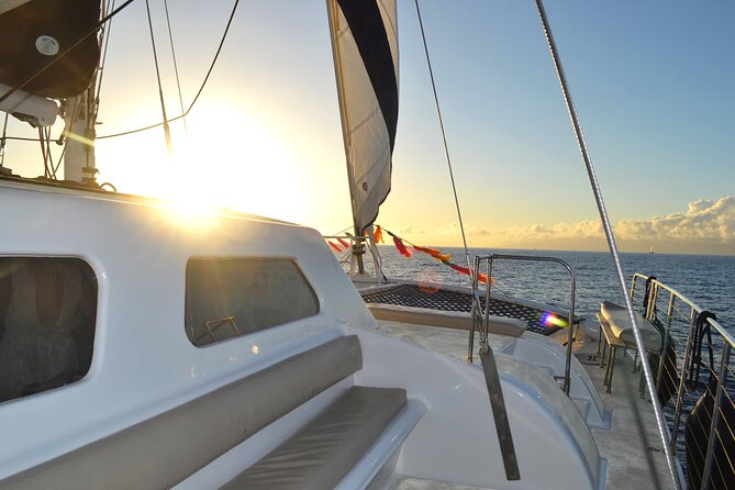 Oahu's Waikiki Coast: Moana’s Sunset Cocktail Sail - Wildlife sightings near Diamond Head
