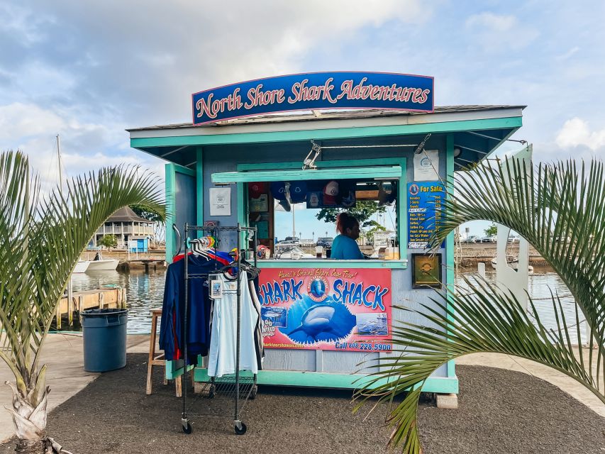 Oahu: Shark Cage Dive on the North Shore - Key points to know before booking