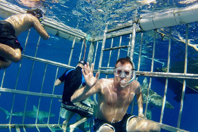 Oahu Shark Dive - The safety briefing matters