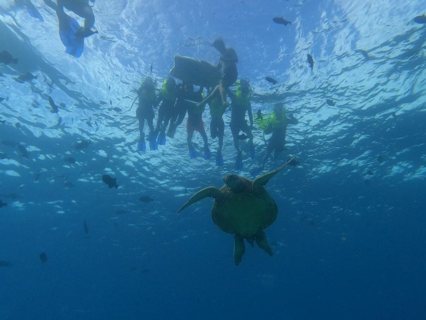 Oahu Snorkeling with Turtles, Water Scooter, Paddleboard - Key points at a glance