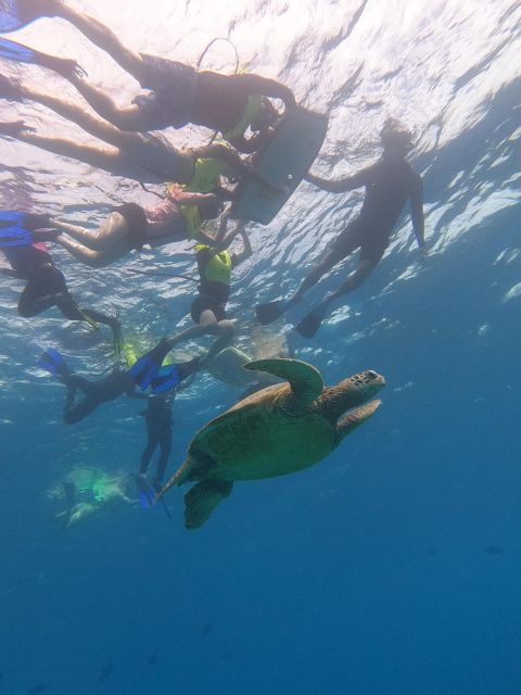 Oahu Snorkeling with Turtles, Water Scooter, Paddleboard - Who will enjoy this two-hour outing most