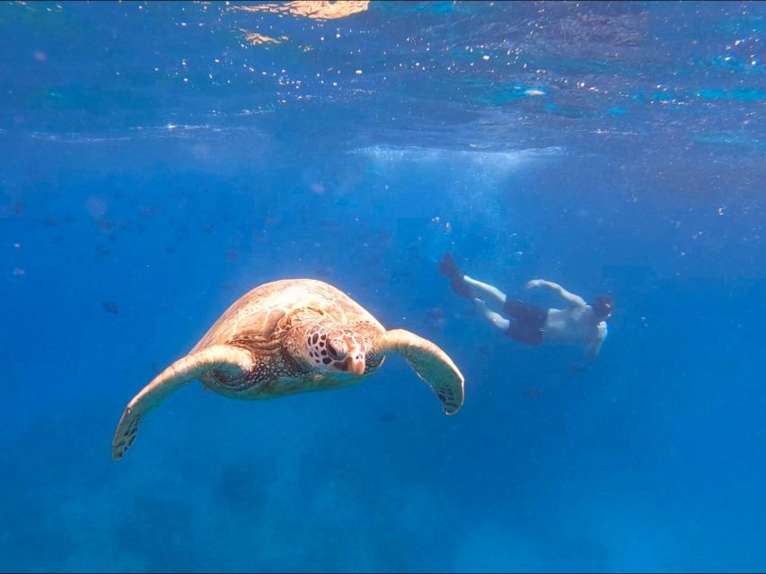 Oahu Snorkeling with Turtles, Water Scooter, Paddleboard - Paddleboarding adds variety when boards are available