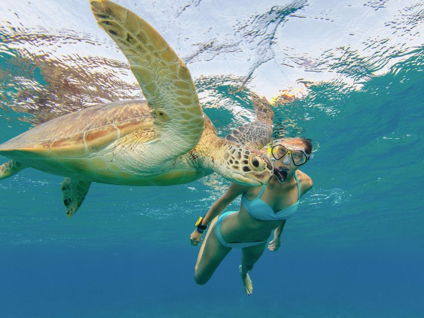 Oahu Snorkeling with Turtles, Water Scooter, Paddleboard - Guides and language support can make a real difference