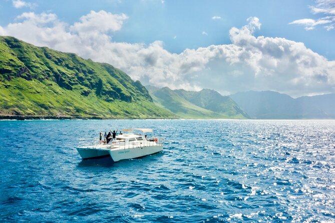 Oahu: Swim with Dolphins on the West Coast - Why Oahu’s west coast is the right setting