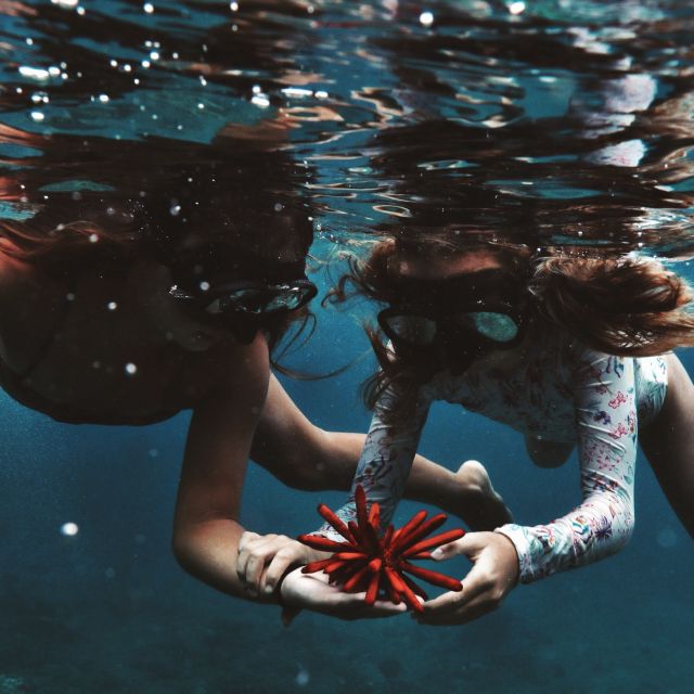 Oahu: Turtle Canyon Snorkeling Boat Tour - Getting fitted with fins, masks, and flotation gear
