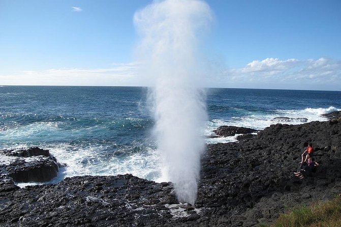 Oahu Ultimate Circle Island Tour Full Day Experience - Tropical Farms and macadamia samples