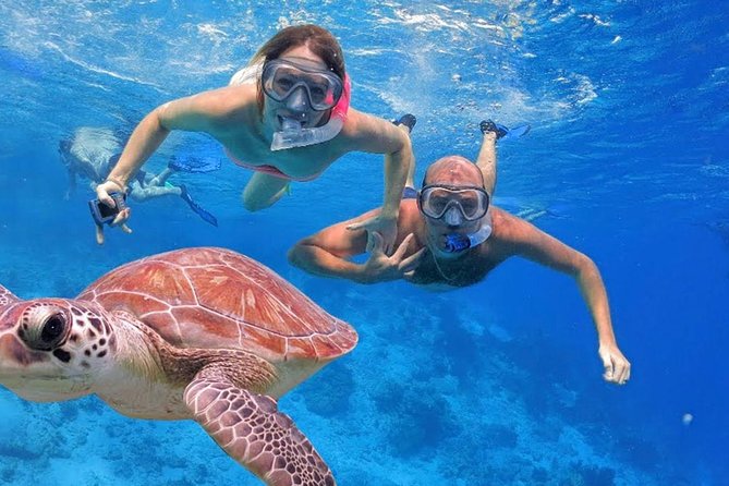 Oahu Ultimate Circle Island Tour Full Day Experience - Diamond Head and the Kaiwi coast