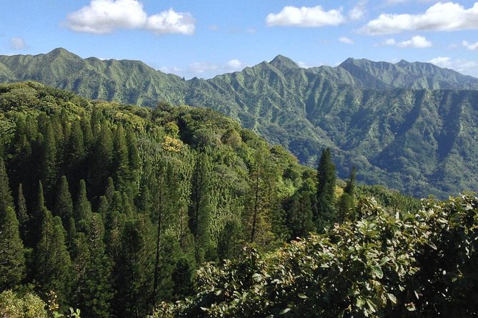 Oahu Volcanic Rainforest Hiking Adventure - What to wear and what the tour provides
