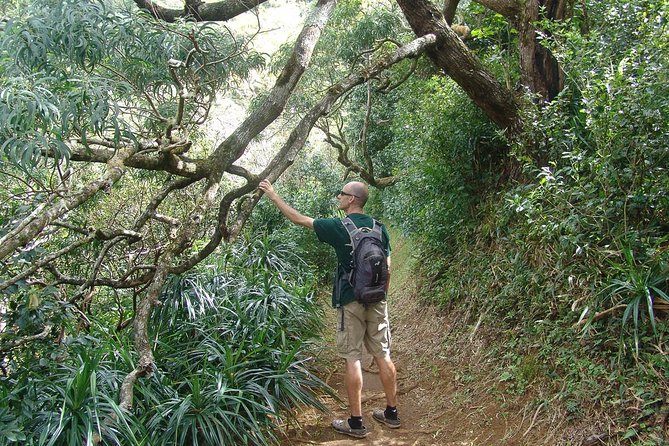 Oahu Volcanic Rainforest Hiking Adventure - Who will enjoy this hike most?