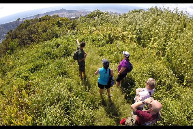 Oahu Volcanic Rainforest Hiking Adventure - Ancient walls, sacred places, and stories along the trail