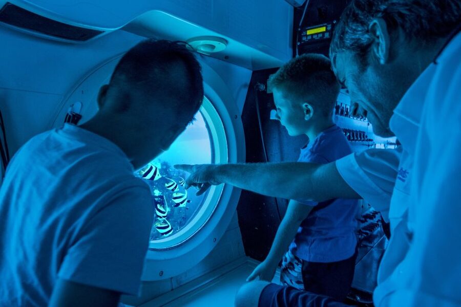 Oahu: Waikiki Submarine Tour - Key points before you book