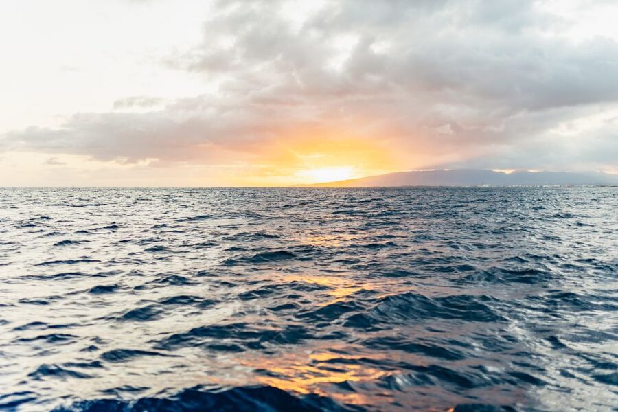 Oahu: Waikiki Sunset Catamaran Cocktail Cruise - Setting Sail From Kewalo Basin Harbor
