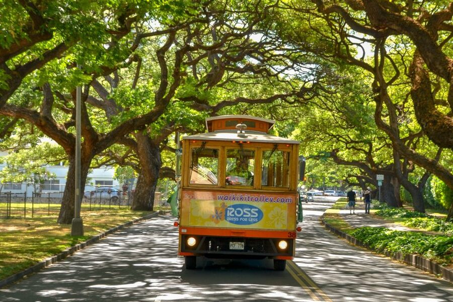 Oahu: Waikiki Trolley Hop-on Hop-off All-Line Pass - Should you book the Waikiki Trolley All-Line Pass?