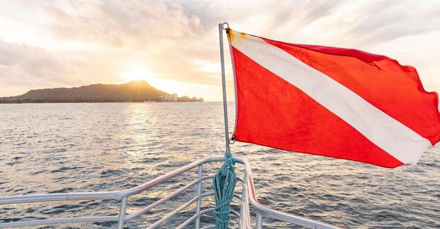 Oahu: Waikiki Turtle Canyons Cruise and Snorkel Excursion - From Kewalo Basin to Waikiki’s Turtle Canyons