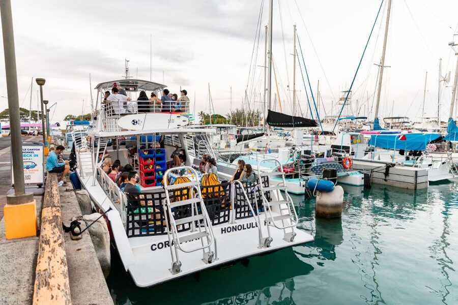 Oahu: Waikiki Turtle Canyons Cruise and Snorkel Excursion - Is $89 a fair price?