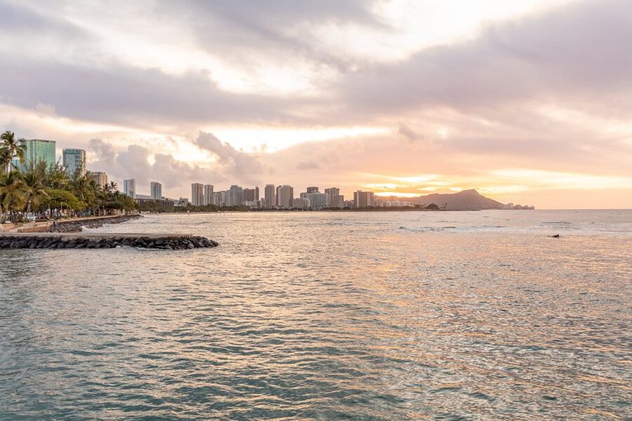 Oahu: Waikiki Turtle Canyons Cruise and Snorkel Excursion - Should you book the Turtle Canyons cruise?