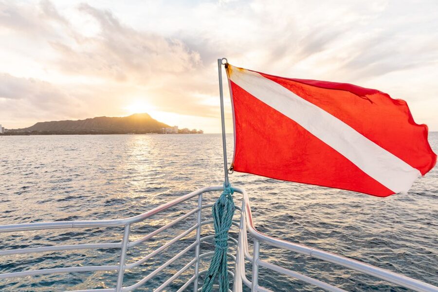 Oahu: Waikiki Turtle Canyons Cruise and Snorkel Excursion - Getting ready for the water