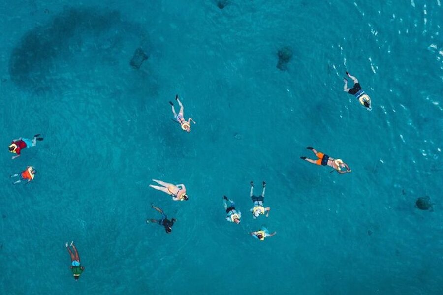 Oahu: Waikiki Turtle Snorkeling Adventure Cruise - Key points at a glance