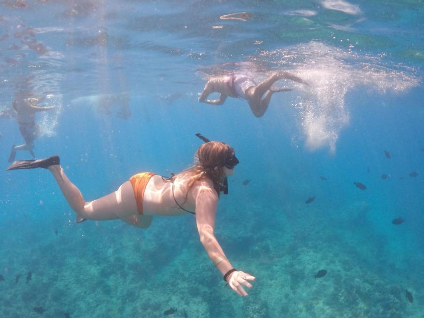 Oahu: Waikiki Turtle Snorkeling Adventure Cruise - Getting ready for the water