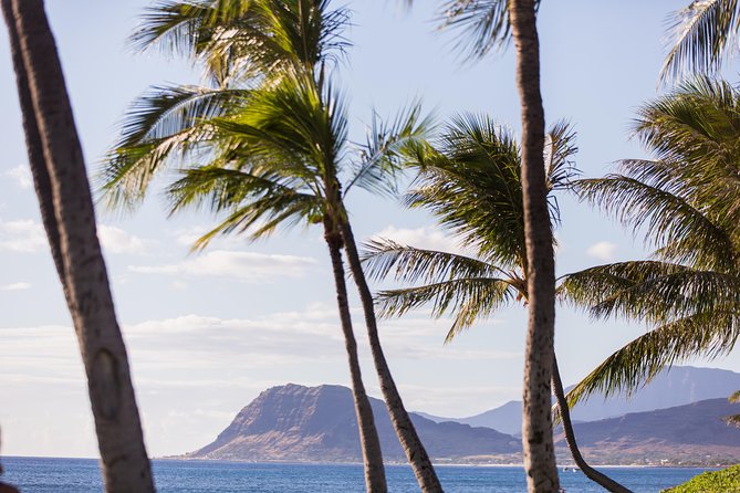 Paradise Cove Luau - Is $150 a Fair Price?
