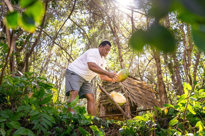 Polynesian Cultural ATV Tour in Kona - What this Kona ATV tour is really like