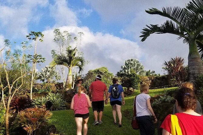 Princeville Botanical Gardens Tour and Chocolate Tasting Ticket - Upper terraces, flowers, and useful plants