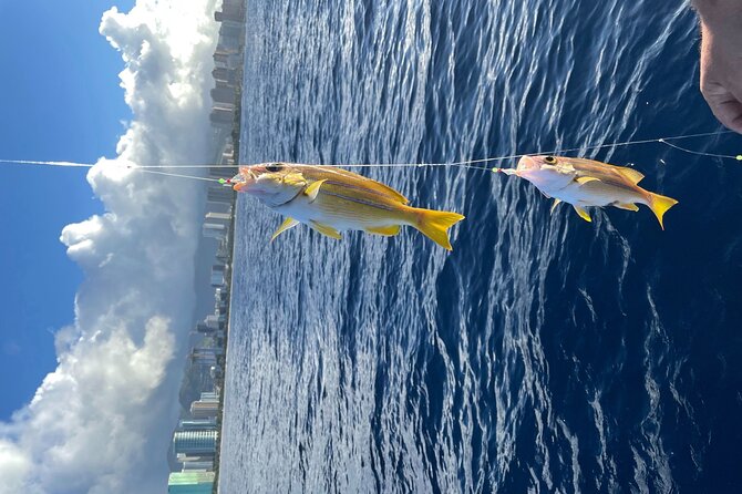 Private Fishing Charter for Family and Friends in Honolulu - Bottom reef fishing, with real but modest expectations