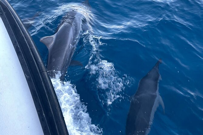 Private Fishing Charter for Family and Friends in Honolulu - The crew makes the biggest difference