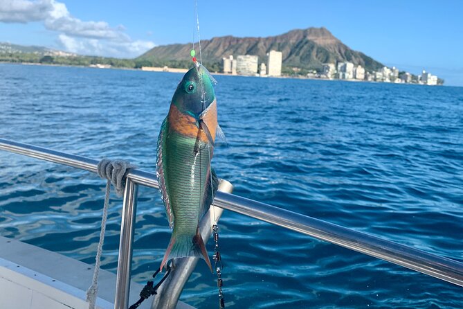 Private Fishing Charter for Family and Friends in Honolulu - Starting at Kewalo Basin Harbor near Waikiki