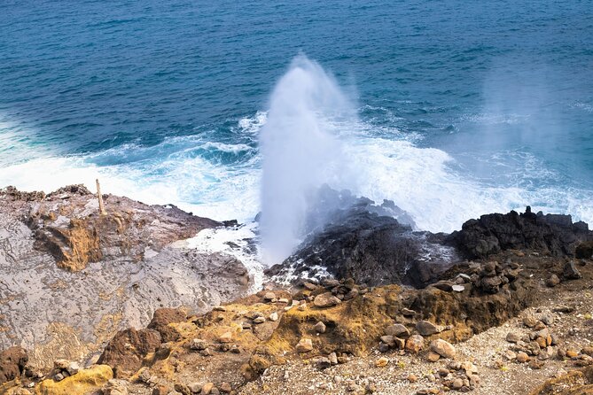 Private Half-Day Circle Island Highlights Tour in Oahu - The schedule rewards realistic expectations