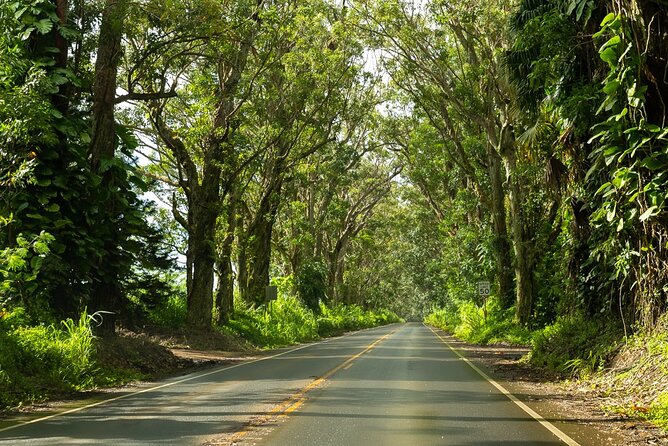 Private Kauai Highlights- Featuring Waimea Canyon - Weather, cancellation, and timing advice